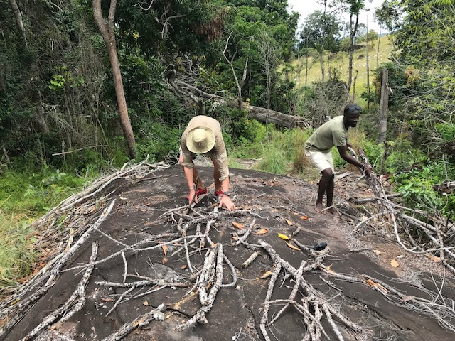 Gabon Rock Art