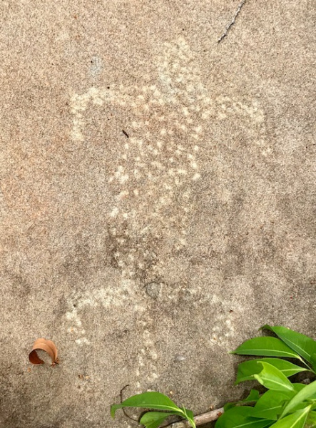 Gabon Rock Art