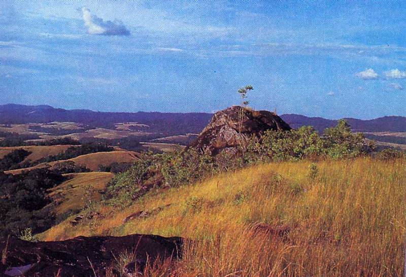 Landscape with forest of Savannah near rock art site, Lope-Okanda.
