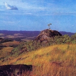 Landscape with forest of Savannah near rock art site, Lope-Okanda.
