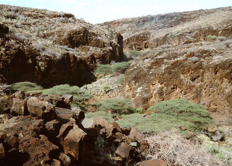 Kalacha. View of gorge below waterhole. Image ID: kencha0010019
