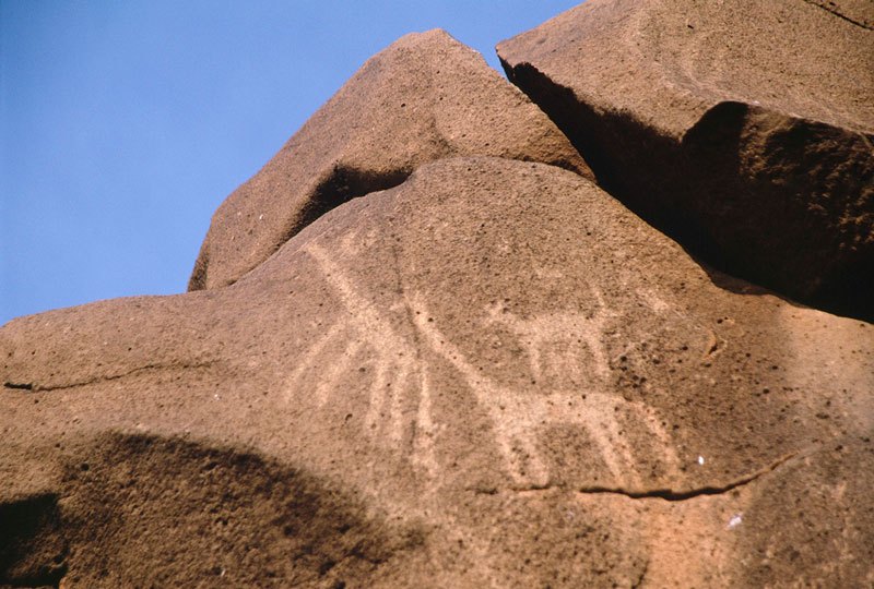Kalacha. Engravings of two giraffes and probably an antelope. Image ID: kencha0010022