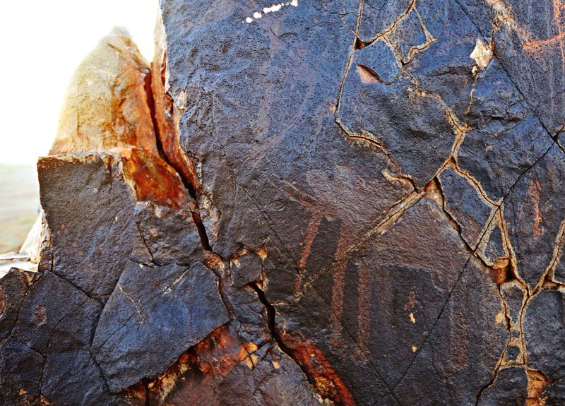 Lokori. Detail of Block-pecked elephant facing left. Image ID: kenlok0010033