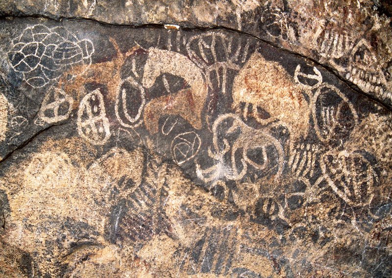 Mount Elgon. Section of painted panel. In particular, note cattle with horns in twisted perspective, ‘net’, ‘fish spine’ and numerous white geometric designs including five short parallel vertical lines surmounted by five dots. Kakapel. Image ID: kenmte0010015