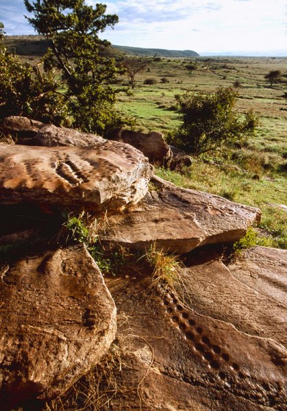 North Eastern Province. Looking east from shoulder at end of soil-covered granite ridge. Granite outcrop in foreground terminates at south (right) end in a rock gong. Image ID: kennep0020001