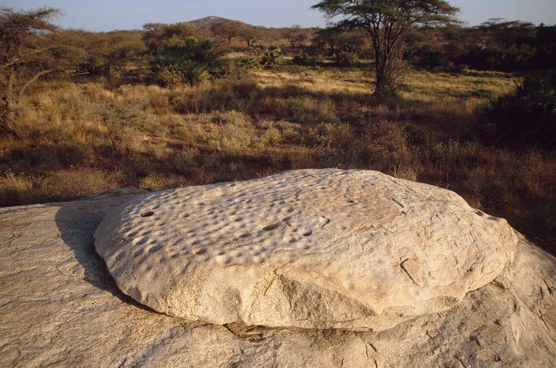 North Eastern Province. Rock gong. Note numerous cupules ground into the gong. Note that most cupules are similar size, but some are large. Image ID: kennep0040015