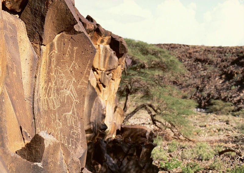 Turkana. Main panel at Kapesse depicting many giraffes walking left to right. To the left of the giraffe panel is another panel. Image ID: kentur0010019