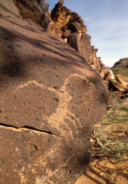 Turkana. Engraving of an animal with long horns facing right. Image ID: kentur0010027
