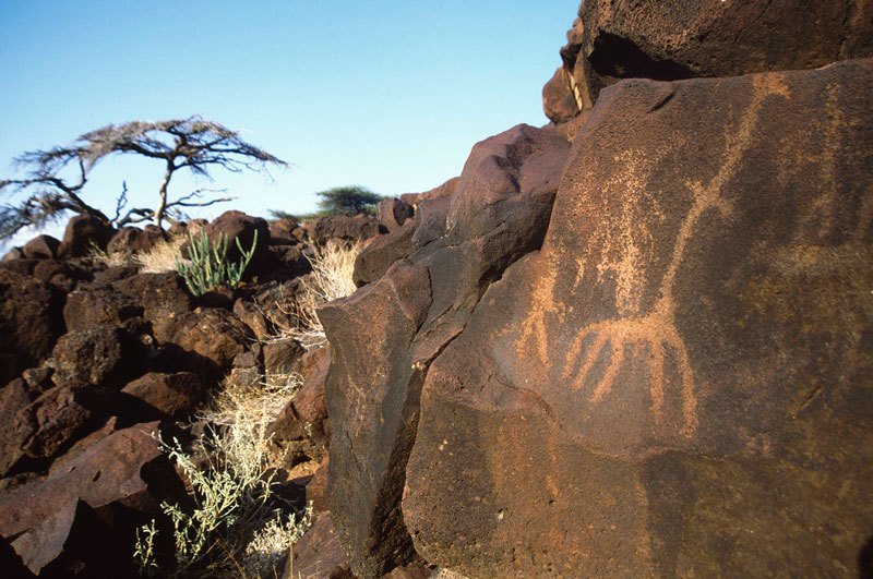Turkana. Panel of pecked engravings of giraffe and human figures. Image ID: kentur0020063
