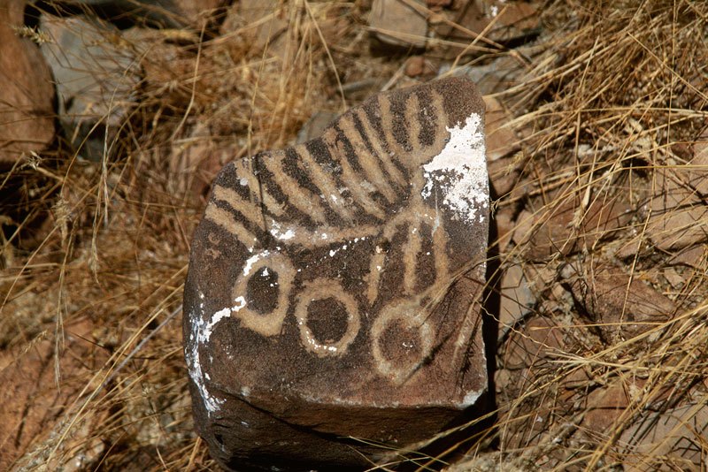 Turkana. Engraved rock with schematic design: three circles, a ‘lizard’ shape, and ‘fan’ of eight short lines. Image ID: kentur0030014