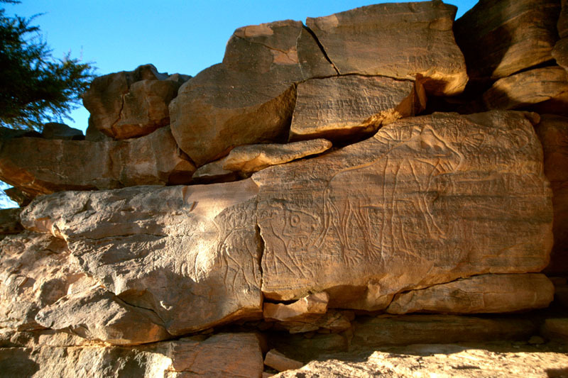 Messak Plateau, Libya, LIBMES0030005