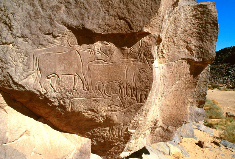 Messak Plateau, Libya, LIBMES0050003