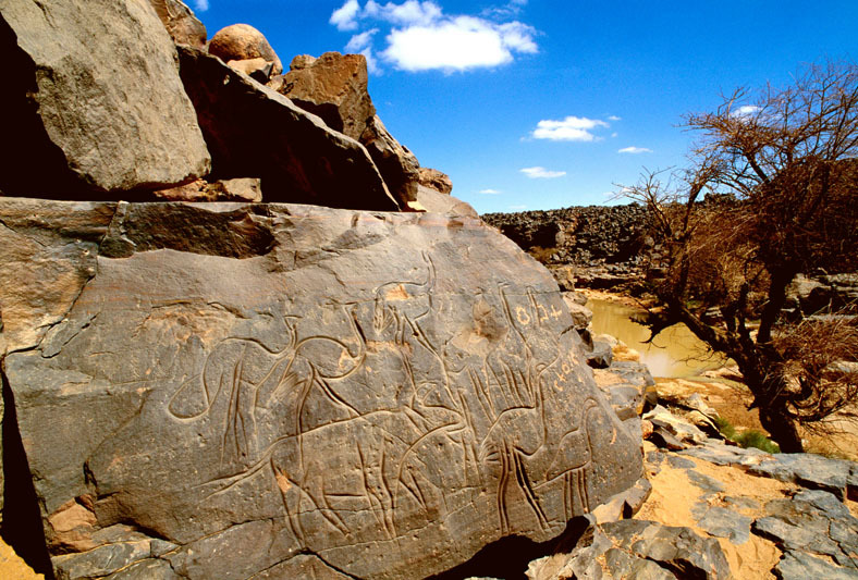 Messak Plateau, Libya, LIBMES0060011