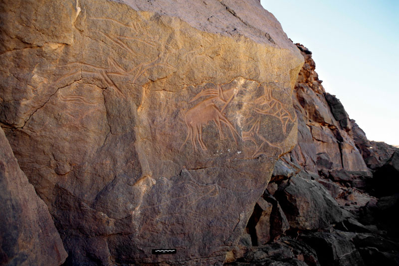 Messak Plateau, Libya, LIBMES0070015