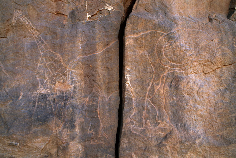 Messak Plateau, Libya, LIBMES0070017