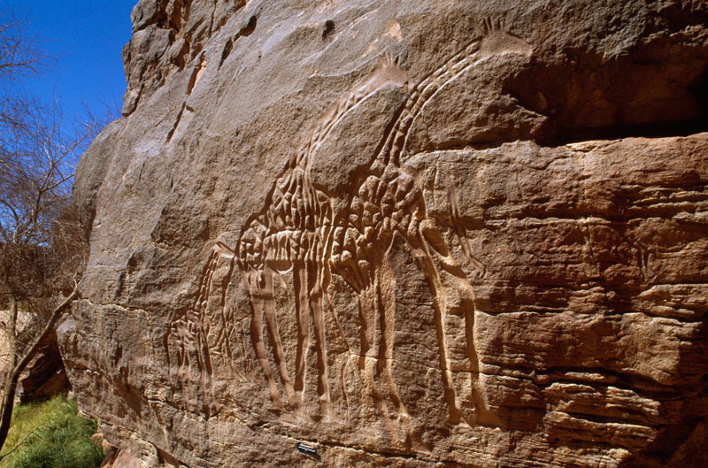 Messak Plateau, Libya, LIBMES0070022