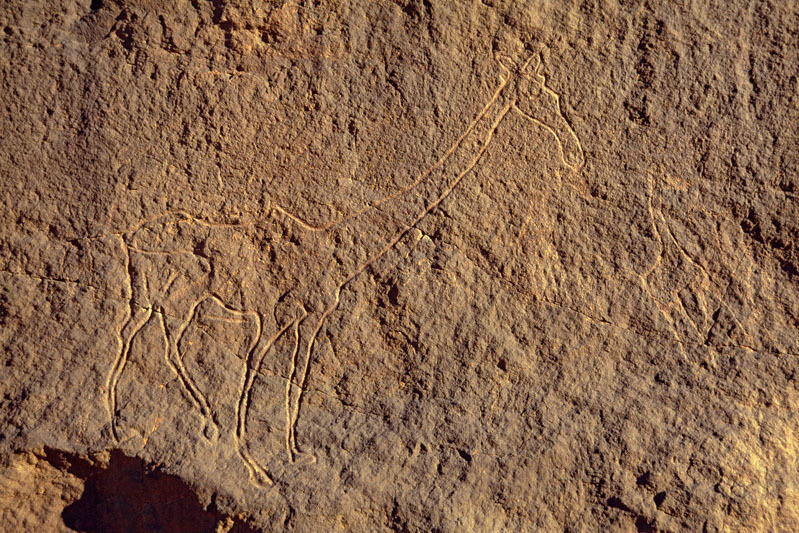 Messak Plateau, Libya, LIBMES0070025