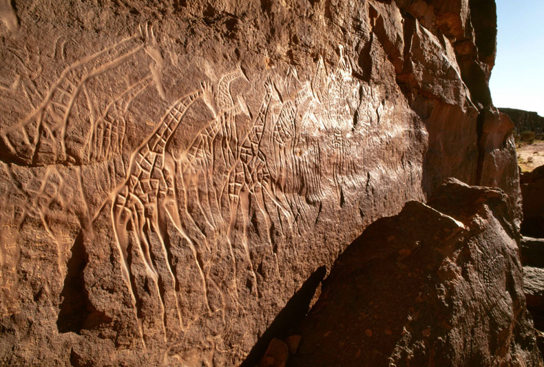 Messak Plateau, Libya, LIBMES0070031