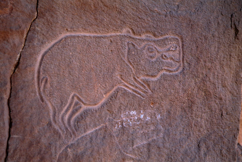 Messak Plateau, Libya, LIBMES0070041