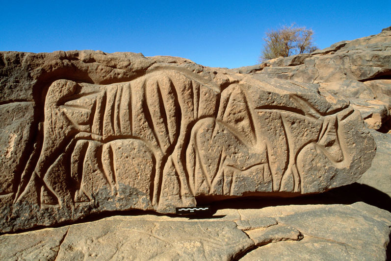 Messak Plateau, Libya, LIBMES0090013