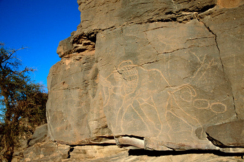 Messak Plateau, Libya, LIBMES0090017