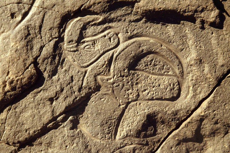 Messak Plateau, Libya, LIBMES0090021