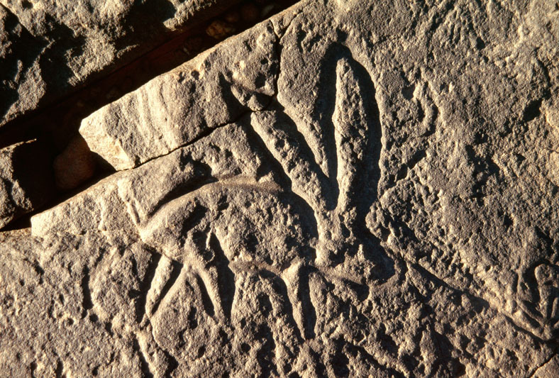 Messak Plateau, Libya, LIBMES0090028