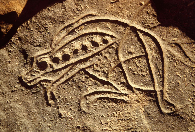 Messak Plateau, Libya, LIBMES0090032