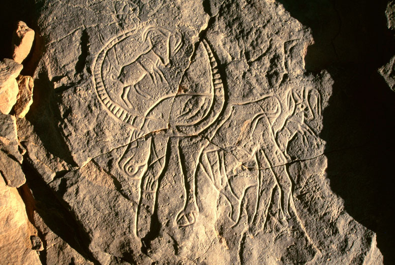 Messak Plateau, Libya, LIBMES0090040