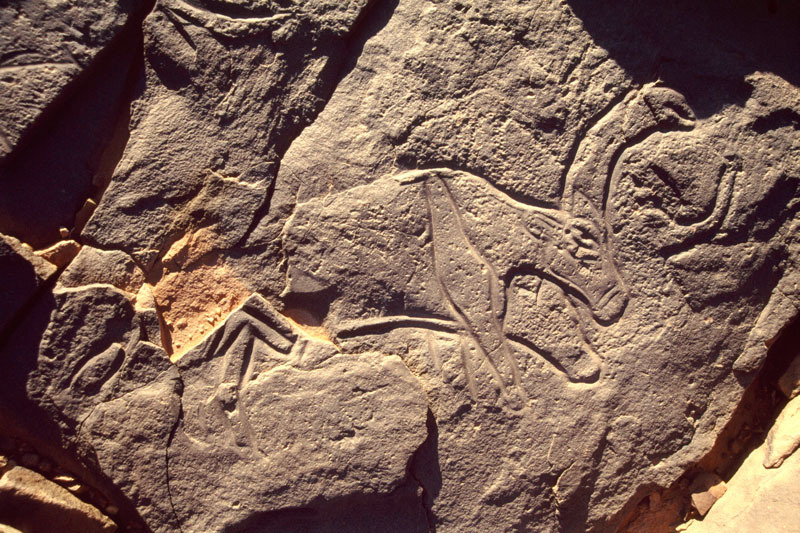 Messak Plateau, Libya, LIBMES0090043