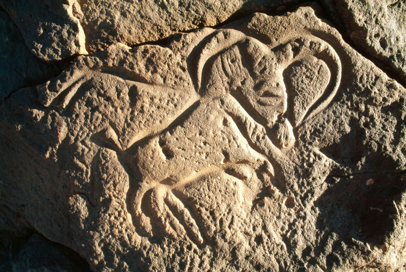 Messak Plateau, Libya, LIBMES0090049