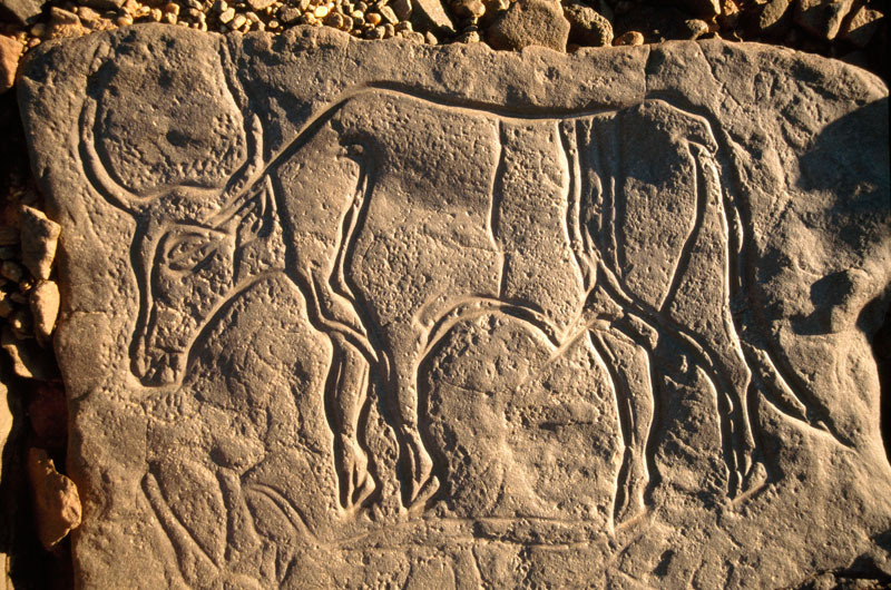 Messak Plateau, Libya, LIBMES0090055