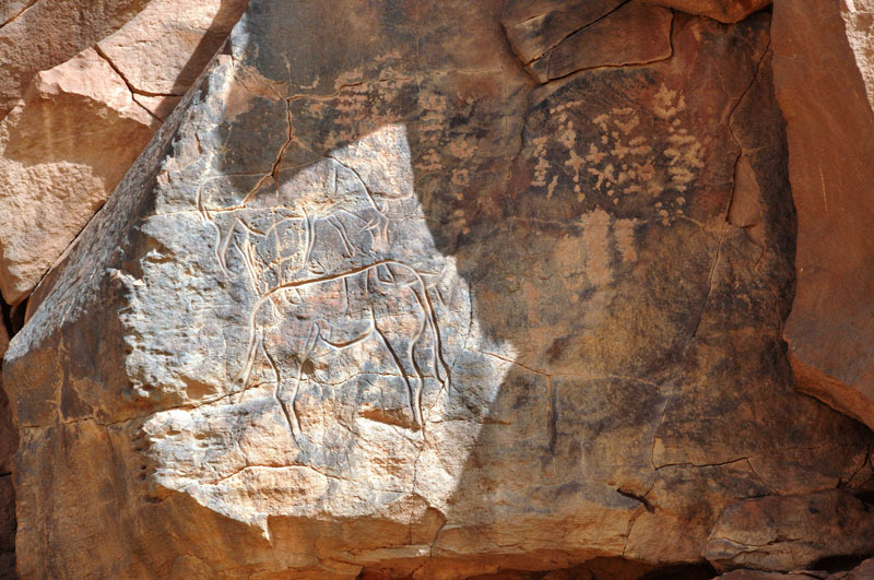 Messak Plateau, Libya, LIBMES0170055