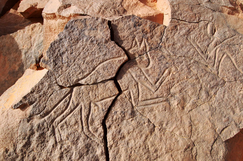 Messak Plateau, Libya, LIBMES0170061