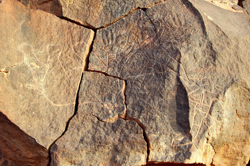 Messak Plateau, Libya, LIBMES0170066