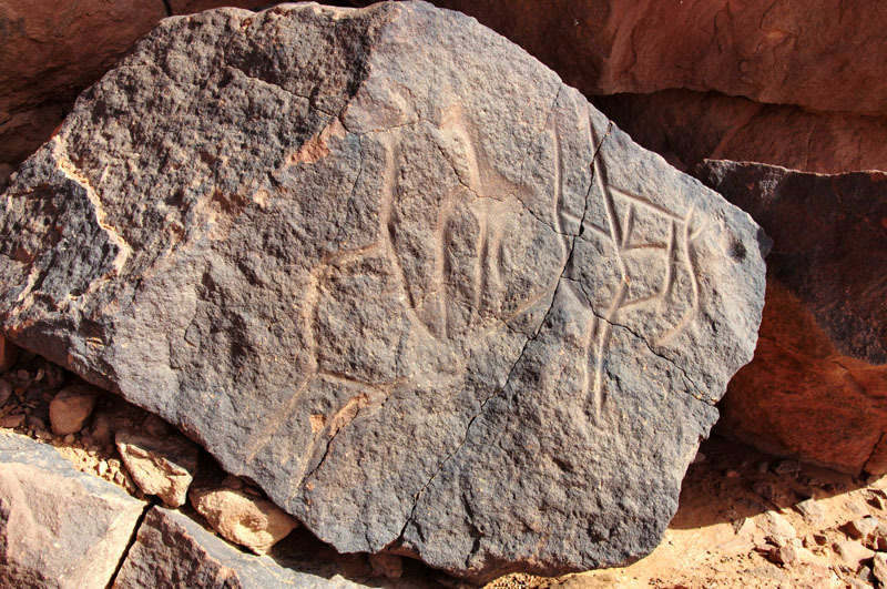 Messak Plateau, Libya, LIBMES0170070