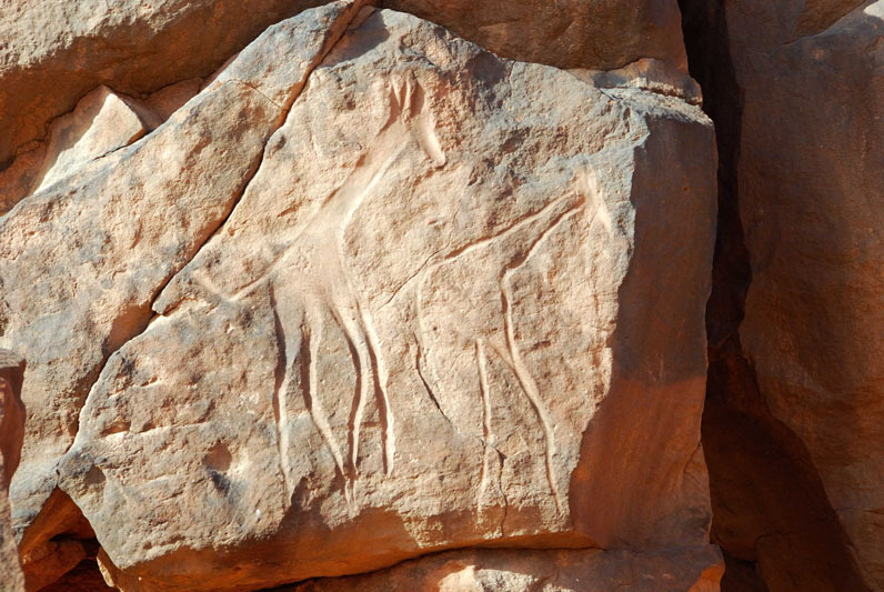 Messak Plateau, Libya, LIBMES0170072