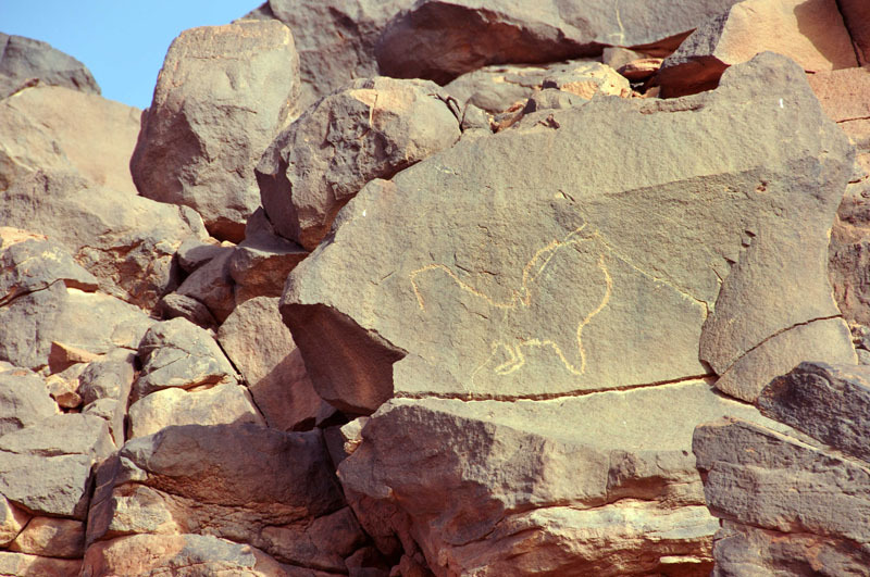 Messak Plateau, Libya, LIBMES0170074