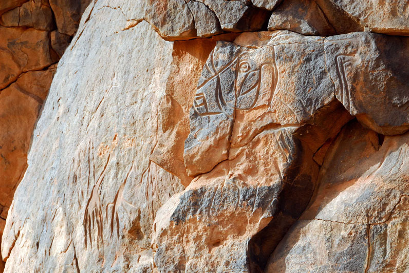 Messak Plateau, Libya, LIBMES0170077