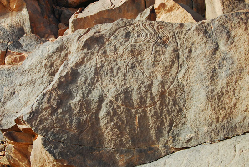 Messak Plateau, Libya, LIBMES0170082