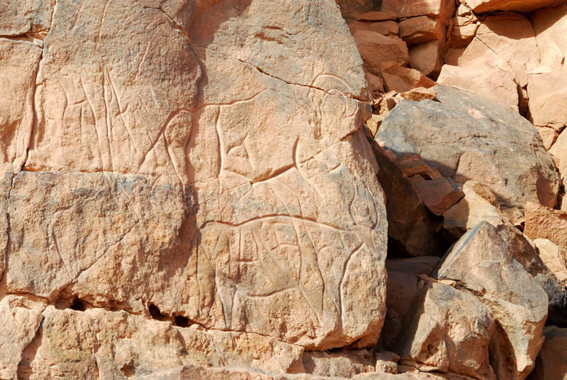 Messak Plateau, Libya, LIBMES0170085