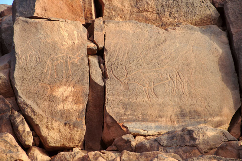 Messak Plateau, Libya, LIBMES0170086