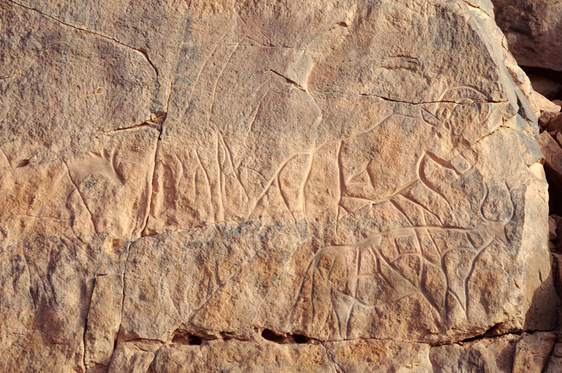 Messak Plateau, Libya, LIBMES0170087