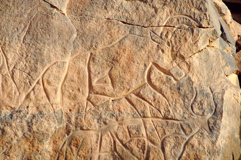 Messak Plateau, Libya, LIBMES0170088