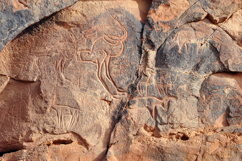 Messak Plateau, Libya, LIBMES0170090