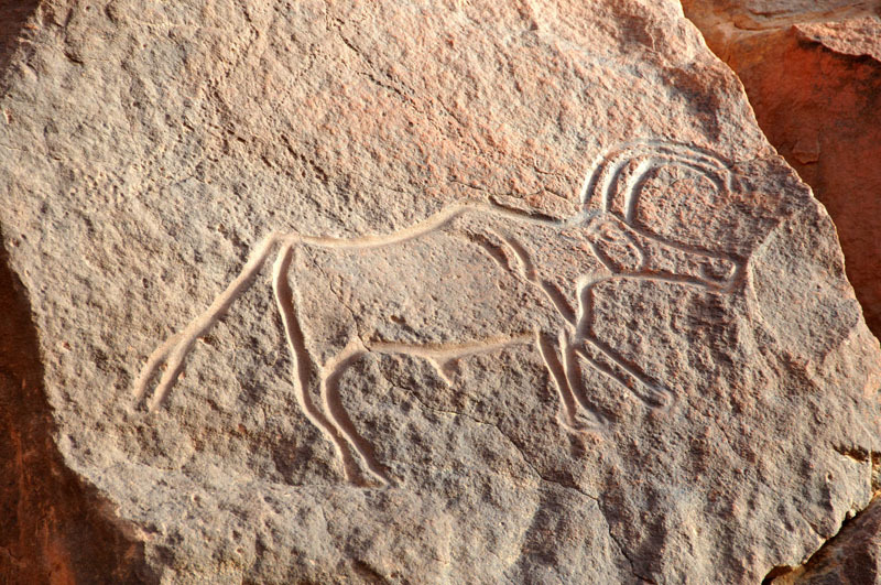 Messak Plateau, Libya, LIBMES0170093