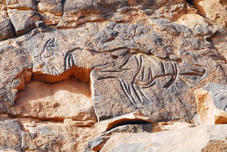 Messak Plateau, Libya, LIBMES0170096