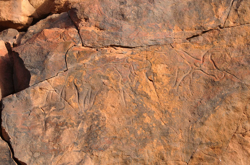 Messak Plateau, Libya, LIBMES0170097