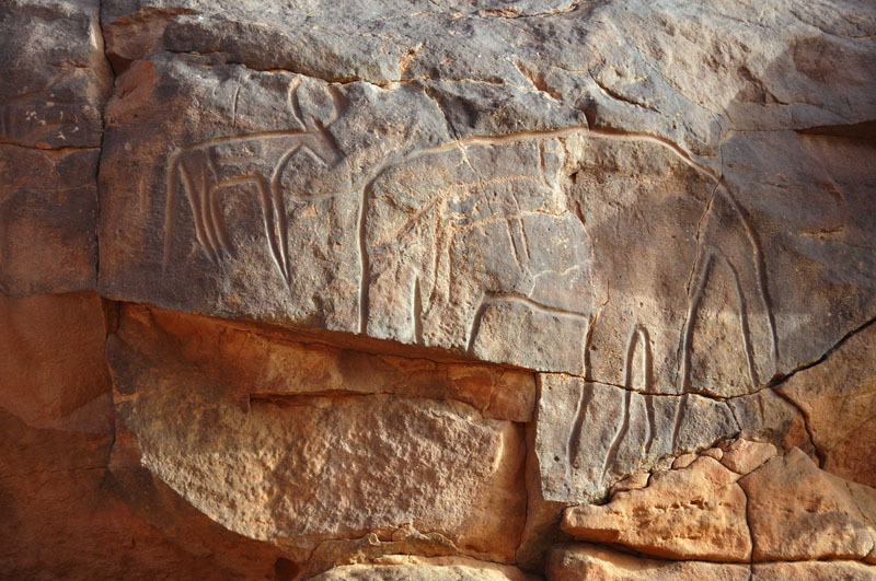 Messak Plateau, Libya, LIBMES0170099