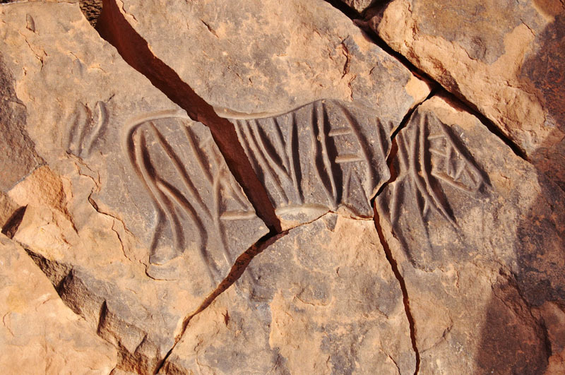 Messak Plateau, Libya, LIBMES0170100